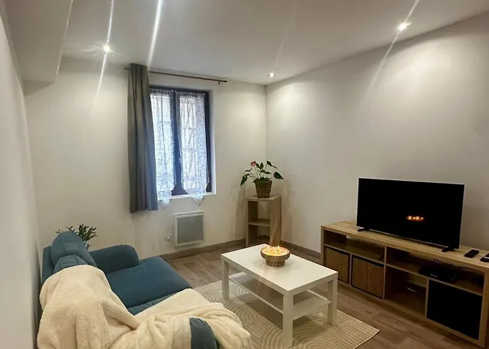 Appartement Chaleureux Proxi-chu Et Clinique St Hilaire